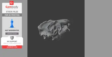 3D model of a web-footed tenrec skull, displayed on a dark background for printing.