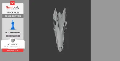Web-footed Tenrec skull replica STL for 3D printing, top view showing intricate bone structure.