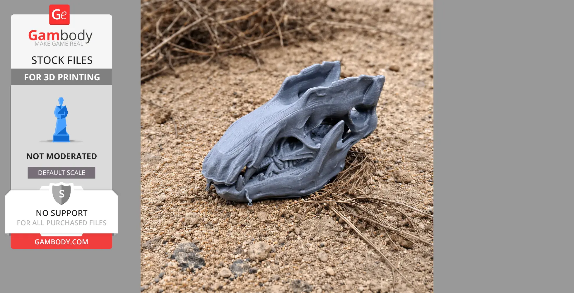 3D printed web-footed tenrec skull replica on sandy ground, displaying intricate details.