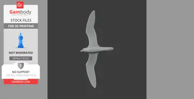 Barau's petrel - Prehistoric Animal STL