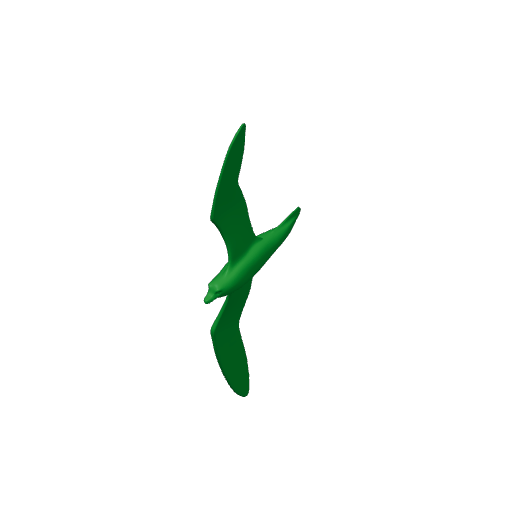Barau's petrel.3mf
