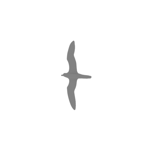Barau's petrel.stl