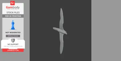 Barau's petrel - Prehistoric Animal STL
