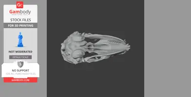 Weddell Seal Skull - Skull Replica STL
