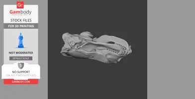 Weddell Seal Skull - Skull Replica STL