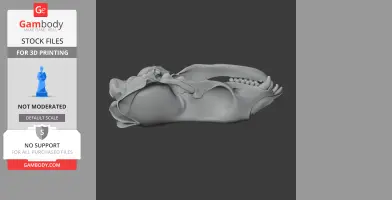 Weddell Seal Skull - Skull Replica STL