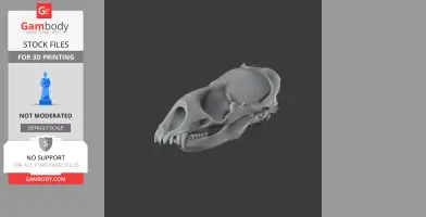 Weddell Seal Skull - Skull Replica STL