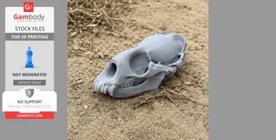 Weddell Seal Skull - Skull Replica STL