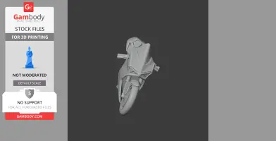 3D model of a Ducati Panigale V4 motorcycle, front view, for 3D printing.