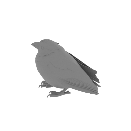 Barbados bullfinch.stl