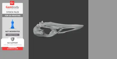 Weka Skull - Skull Replica STL