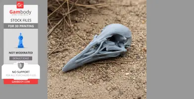 Weka Skull - Skull Replica STL