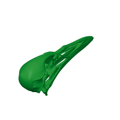 Weka Skull.3mf