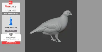 Barbary partridge - Prehistoric Animal STL