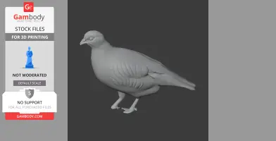 Barbary partridge - Prehistoric Animal STL