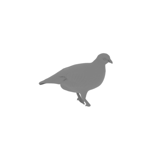 Barbary partridge.stl