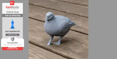 Barbary partridge - Prehistoric Animal STL