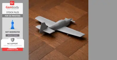 Dyn'Aero CR.100 - Scale Vehicle STL