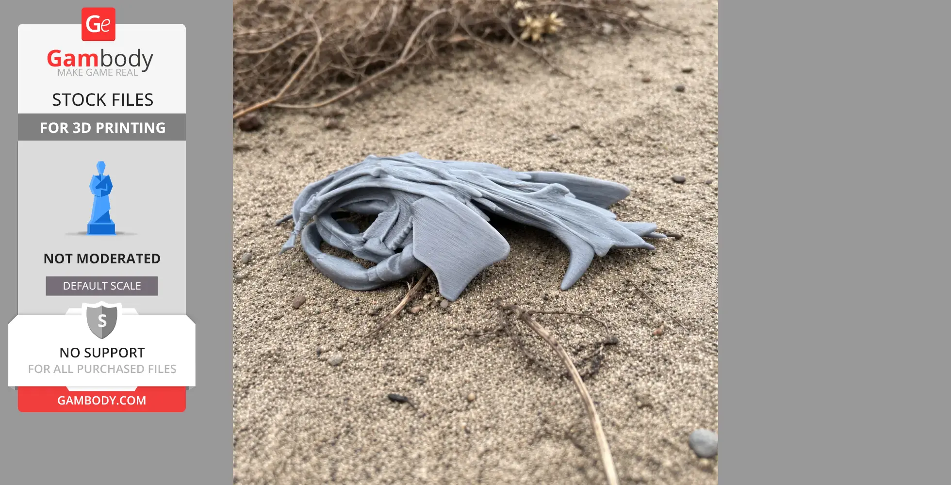A 3D-printed Wels catfish skull replica resting on sandy ground.