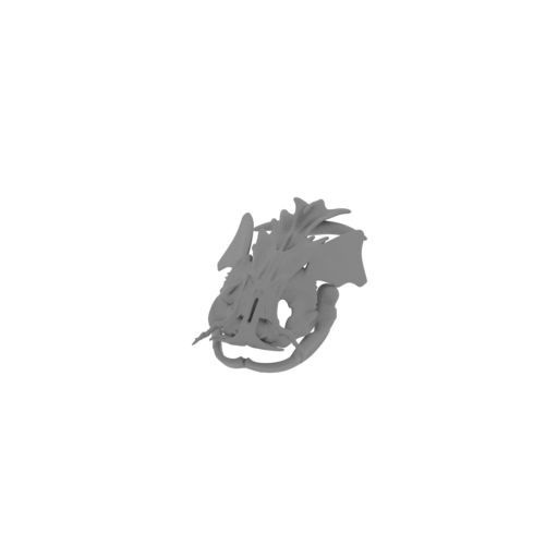 Wels Catfish Skull.stl