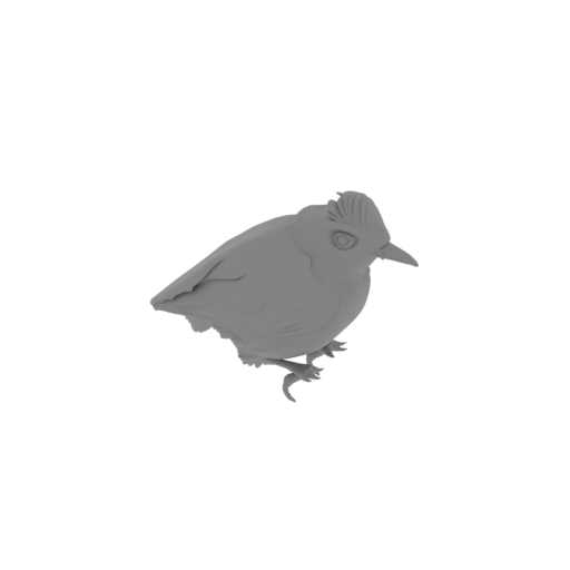 Bare-eyed antbird.stl