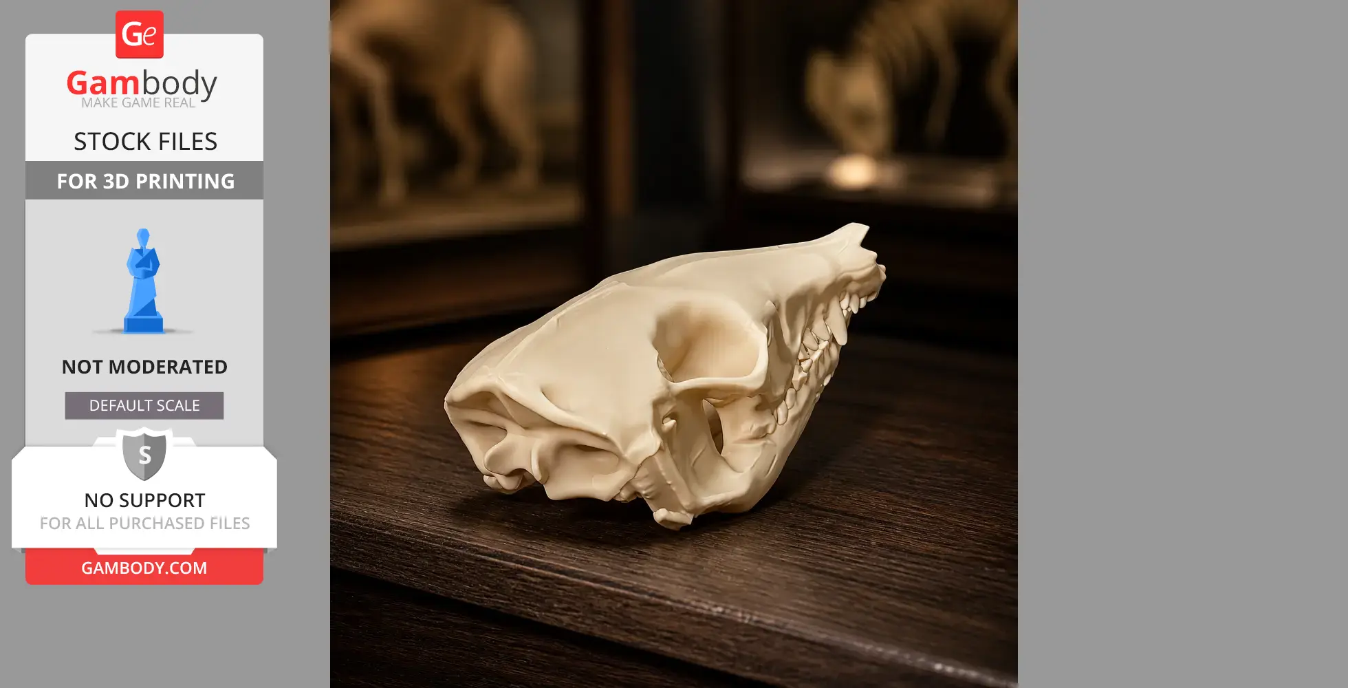 Western Barred Bandicoot Skull - Skull Replica STL