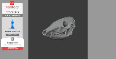 Western Barred Bandicoot Skull - Skull Replica STL