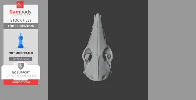 Western Barred Bandicoot Skull - Skull Replica STL