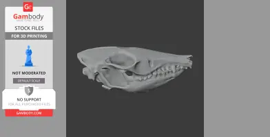 Western Barred Bandicoot Skull - Skull Replica STL