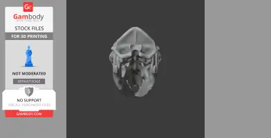 Western Barred Bandicoot Skull - Skull Replica STL