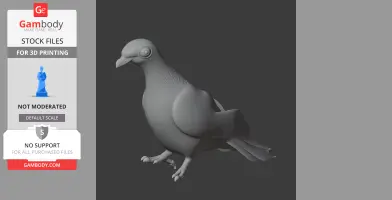 Bare-eyed pigeon - Prehistoric Animal STL