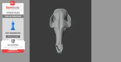 3D model of a Western Grey Kangaroo skull, front view, designed for 3D printing.
