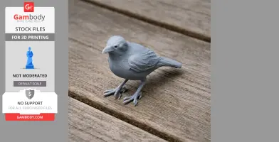 Bare-eyed thrush - Prehistoric Animal STL