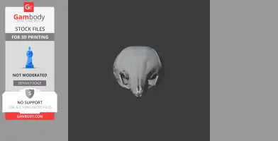 3D model of a Western Long-beaked Echidna skull, viewed from the front.