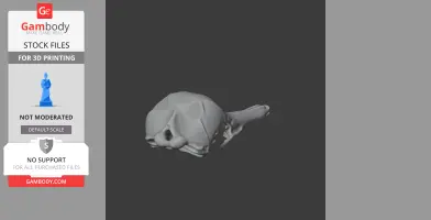 3D model of a Western Long-beaked Echidna skull on a dark background for 3D printing.