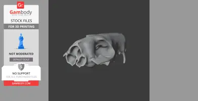 Western Quoll Skull - Skull Replica STL