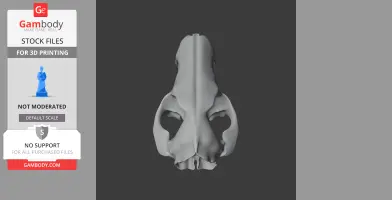 Western Quoll Skull - Skull Replica STL