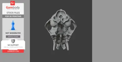 Western Quoll Skull - Skull Replica STL