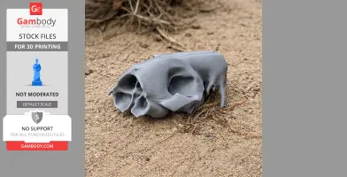 Western Quoll Skull - Skull Replica STL