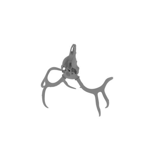 White-tailed Deer Skull.stl
