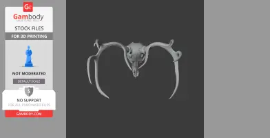 3D model of a white-tailed deer skull with antlers, viewed from the front.