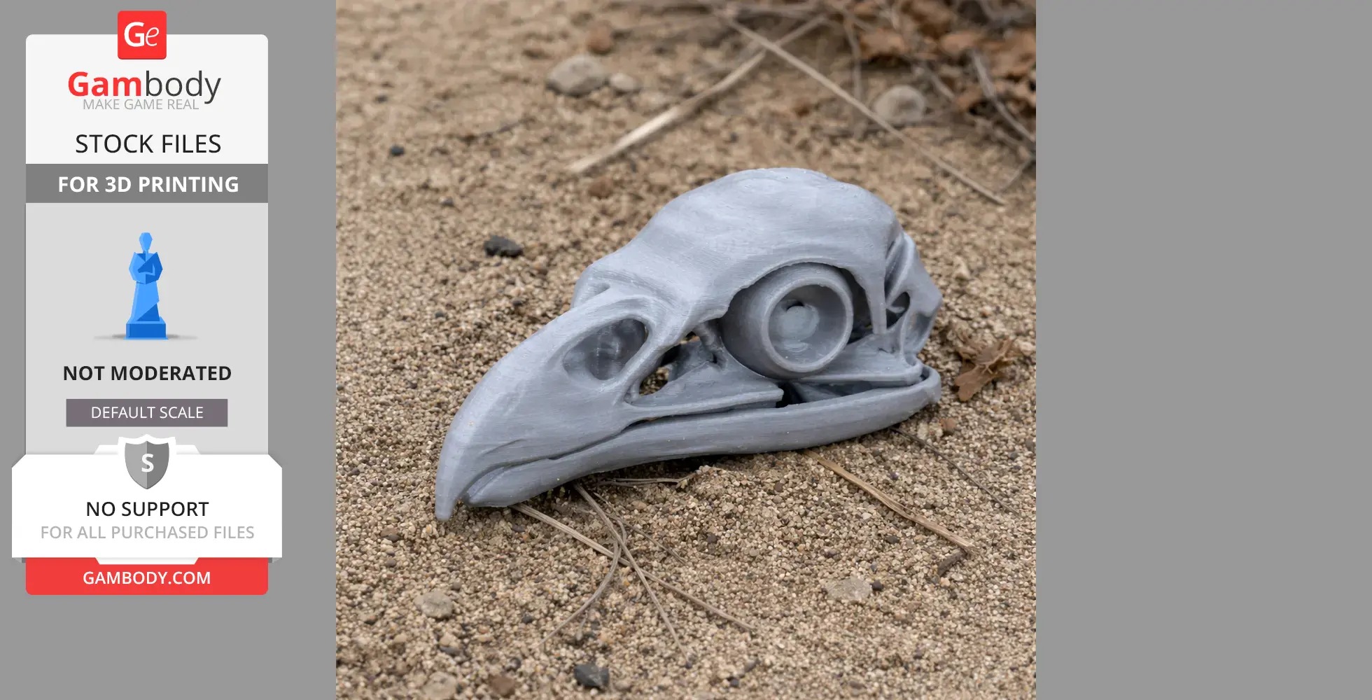 3D-printed white-tailed eagle skull replica on sandy ground.