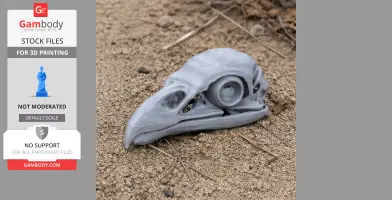 3D-printed white-tailed eagle skull replica on sandy ground.