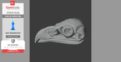 Side view of a detailed white-tailed eagle skull 3D model for printing.