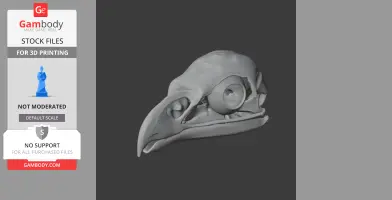 3D model of a white-tailed eagle skull, detailed for 3D printing.