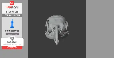 3D model of a white-tailed eagle skull viewed from the front, designed for 3D printing.