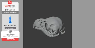 3D model of a white-tailed eagle skull for 3D printing, showing intricate bone structure details.