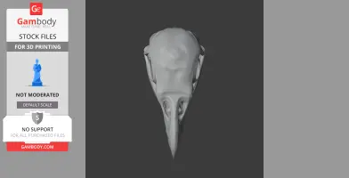 3D model of a white-tailed eagle skull, viewed from above, on a dark background.