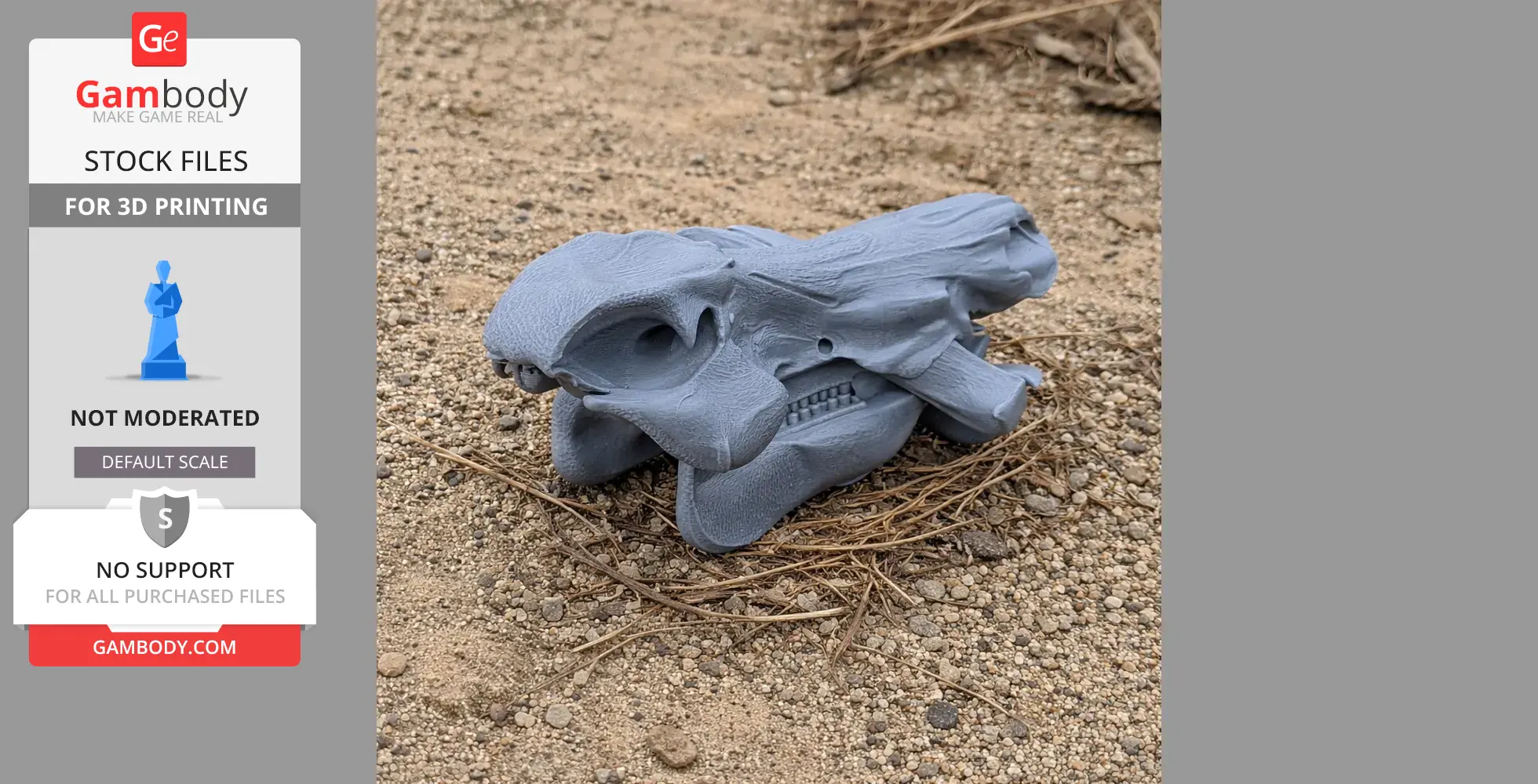 A 3D-printed wild boar skull replica, placed on a sandy, pebbly ground.