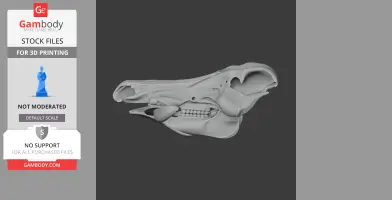 3D model of a wild boar skull, side view, displaying detailed bone structure and teeth.